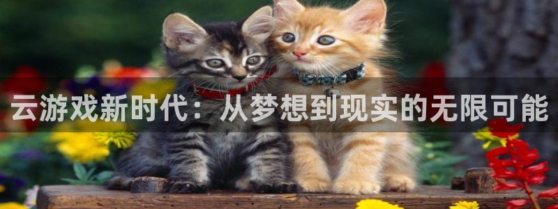 lewin乐玩国际